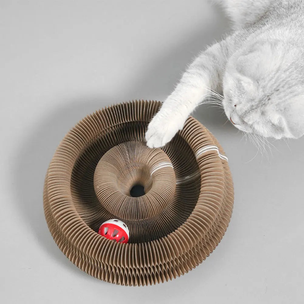 3 in 1 Organ Foldable Cat Scratch Board Toy with Bell, interactive toy