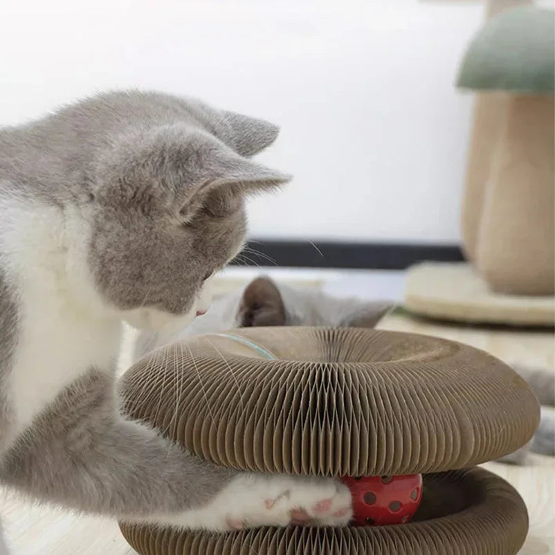 3 in 1 Organ Foldable Cat Scratch Board Toy with Bell, interactive toy