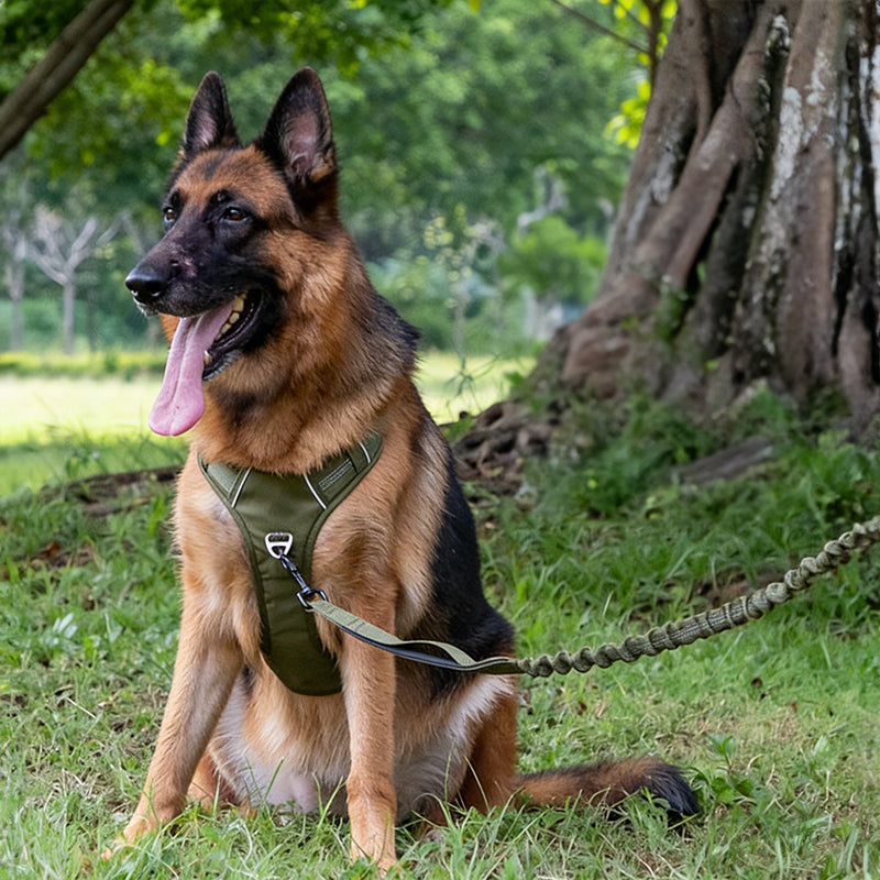 Reflective No-Pull Dog Harness & Leash Set – Breathable Escape-Proof H-Type Vest for Large & Medium Breeds