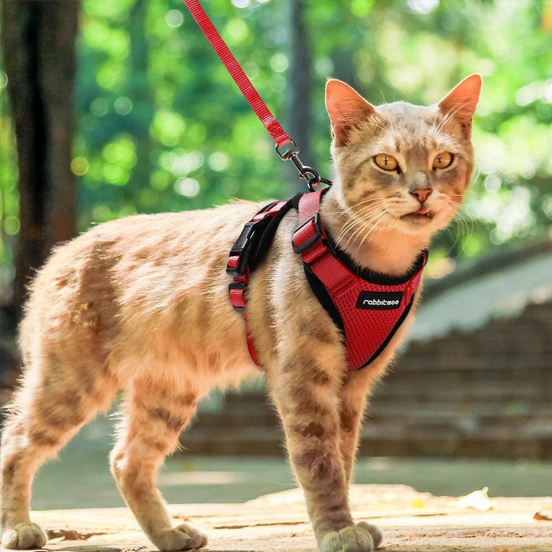 Reflective Escape-Proof Cat Harness & Leash Set – Soft Breathable Mesh Walking Vest