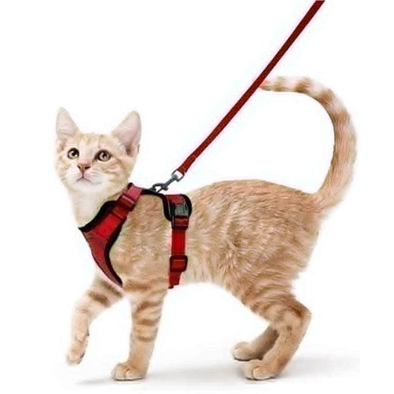 Reflective Escape-Proof Cat Harness & Leash Set – Soft Breathable Mesh Walking Vest
