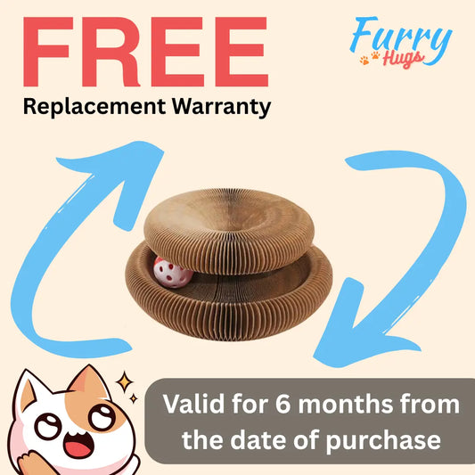 Scratch Toy Free 6 months replacement warranty