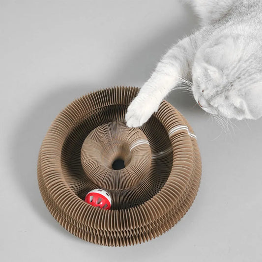 3 in 1 Organ Foldable Cat Scratch Board Toy with Bell, interactive toy
