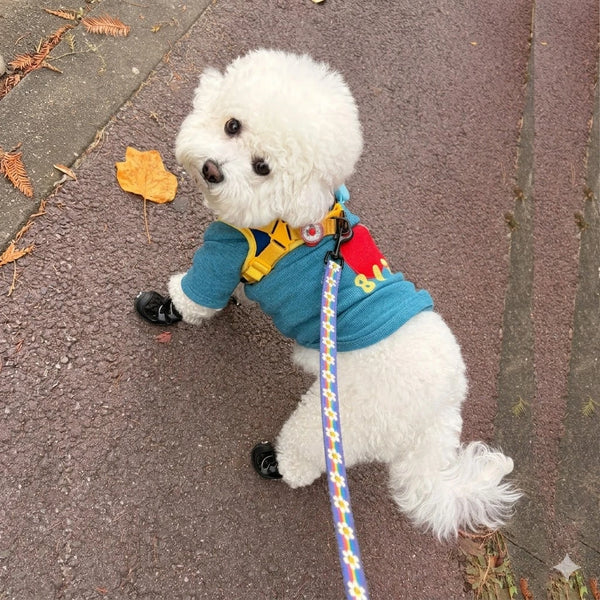 Furryhugs Dog Shoes