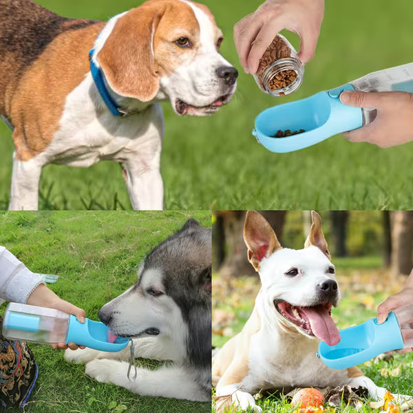 with dogs.avif